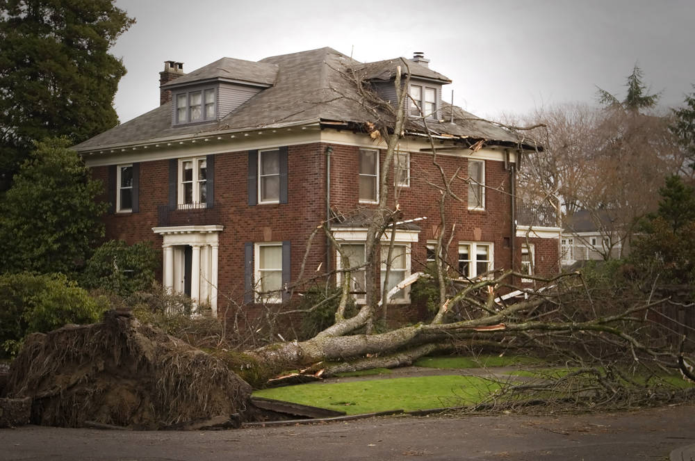 wind-roof-damage-SchroerAndSonsMetalRoofing